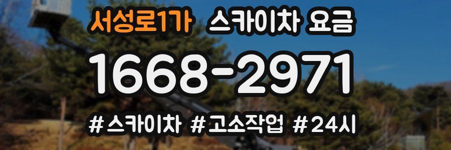 서성로1가 스카이차 요금