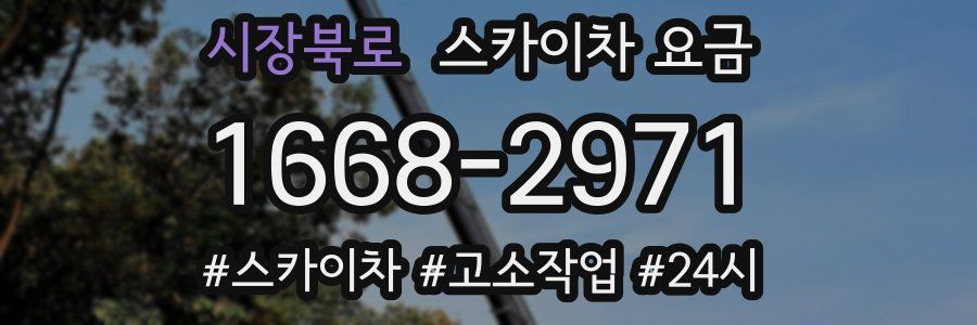 시장북로 스카이차 요금