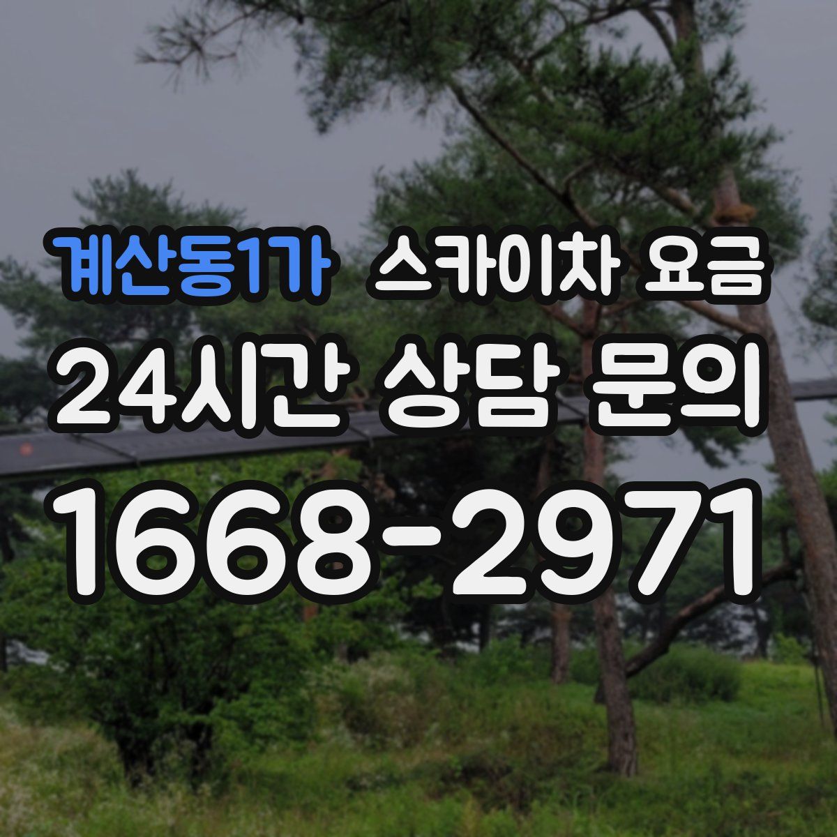 계산동1가 스카이차 요금