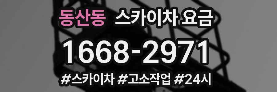동산동 스카이차 요금