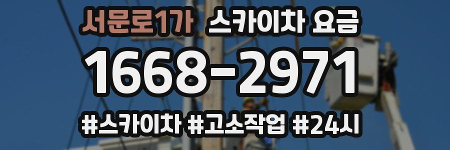 서문로1가 스카이차 요금