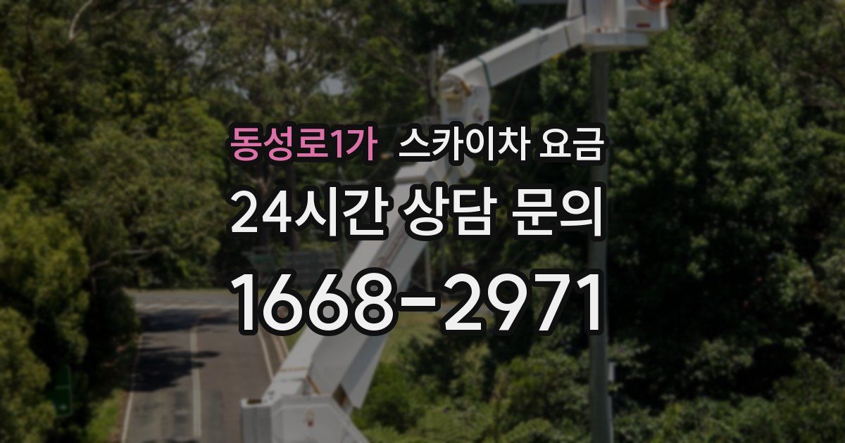 동성로1가 스카이차 요금