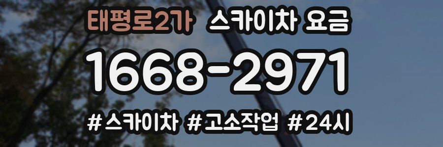 태평로2가 스카이차 요금