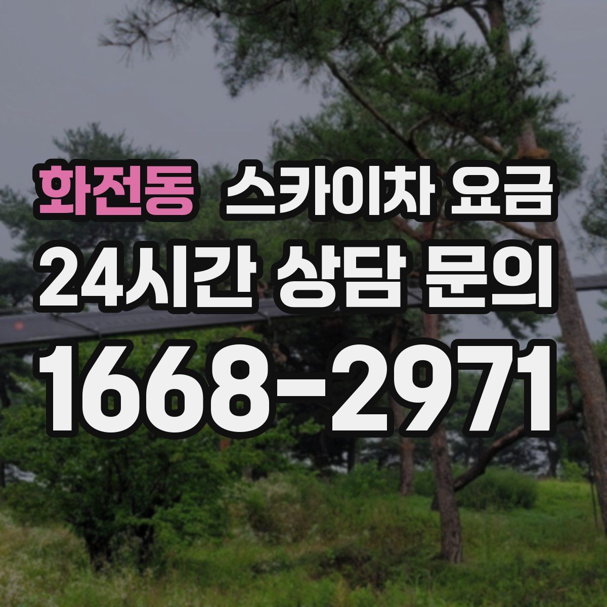 화전동 스카이차 요금