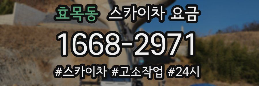 효목동 스카이차 요금