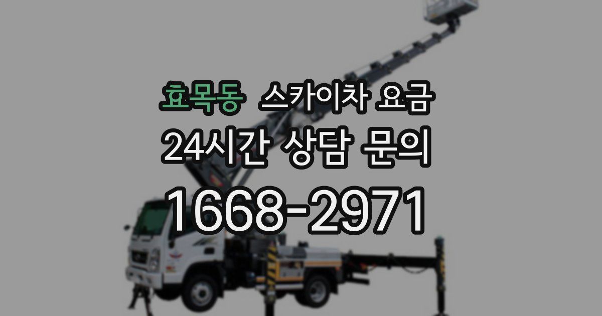 효목동 스카이차 요금