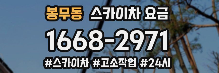 봉무동 스카이차 요금