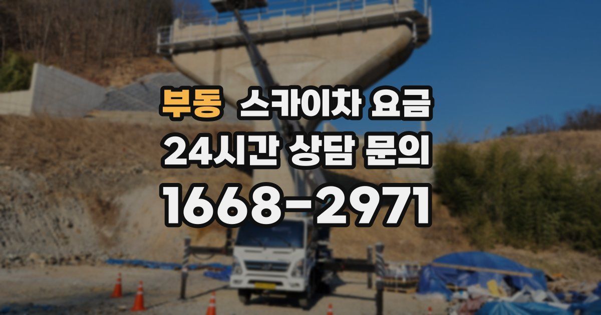 부동 스카이차 요금