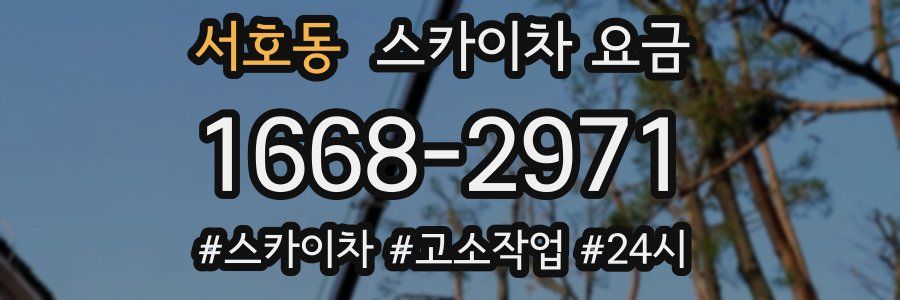 서호동 스카이차 요금