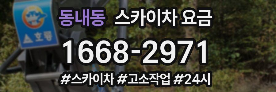 동내동 스카이차 요금
