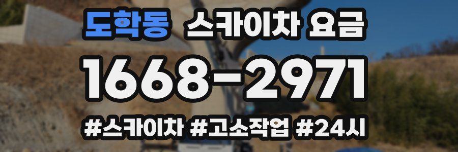 도학동 스카이차 요금