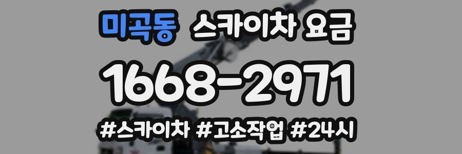 미곡동 스카이차 요금