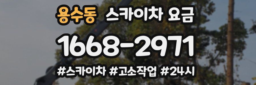 용수동 스카이차 요금