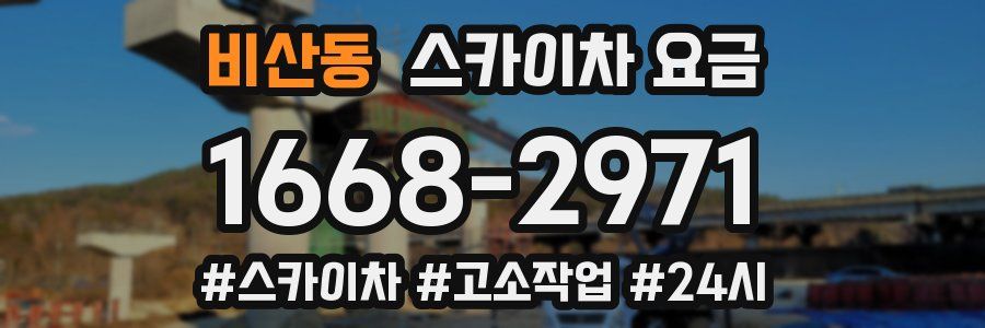비산동 스카이차 요금
