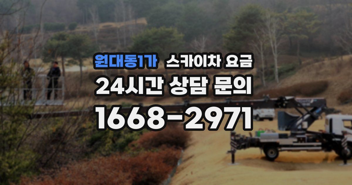 원대동1가 스카이차 요금