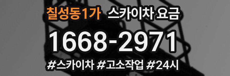 칠성동1가 스카이차 요금