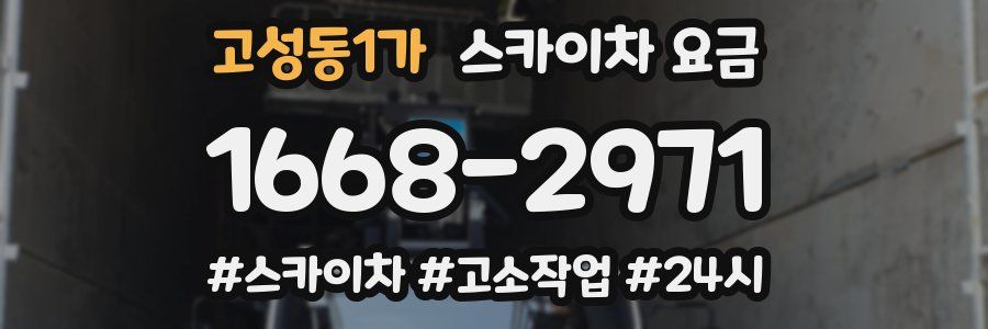 고성동1가 스카이차 요금