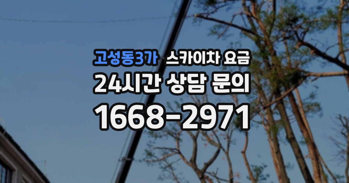 고성동3가 스카이차 요금