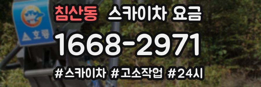 침산동 스카이차 요금