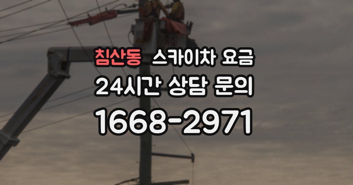 침산동 스카이차 요금