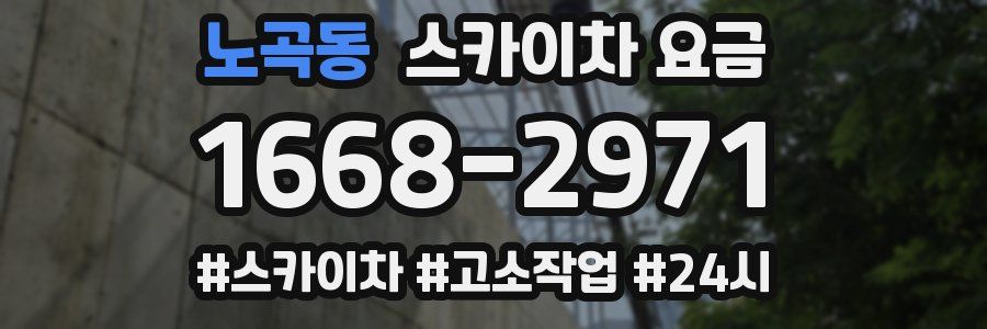 노곡동 스카이차 요금
