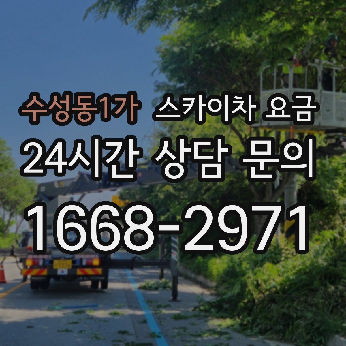 수성동1가 스카이차 요금