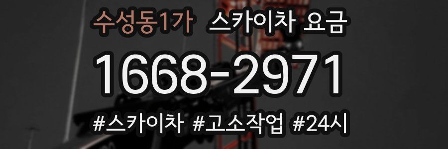 수성동1가 스카이차 요금