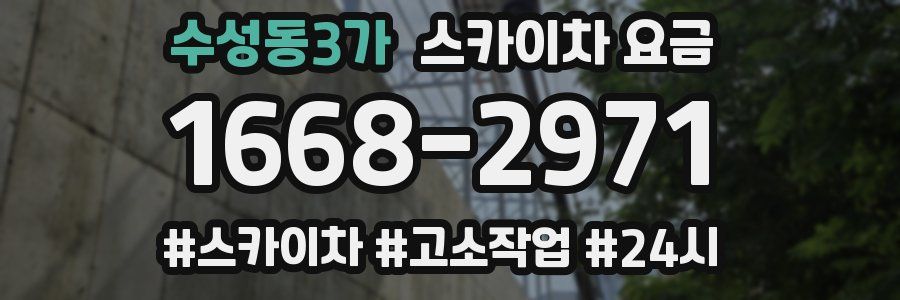 수성동3가 스카이차 요금