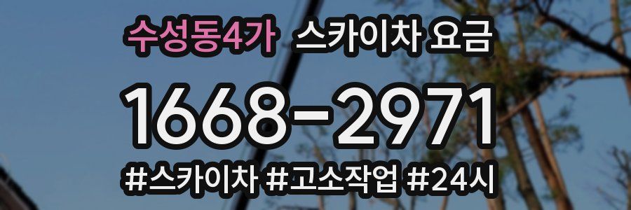 수성동4가 스카이차 요금