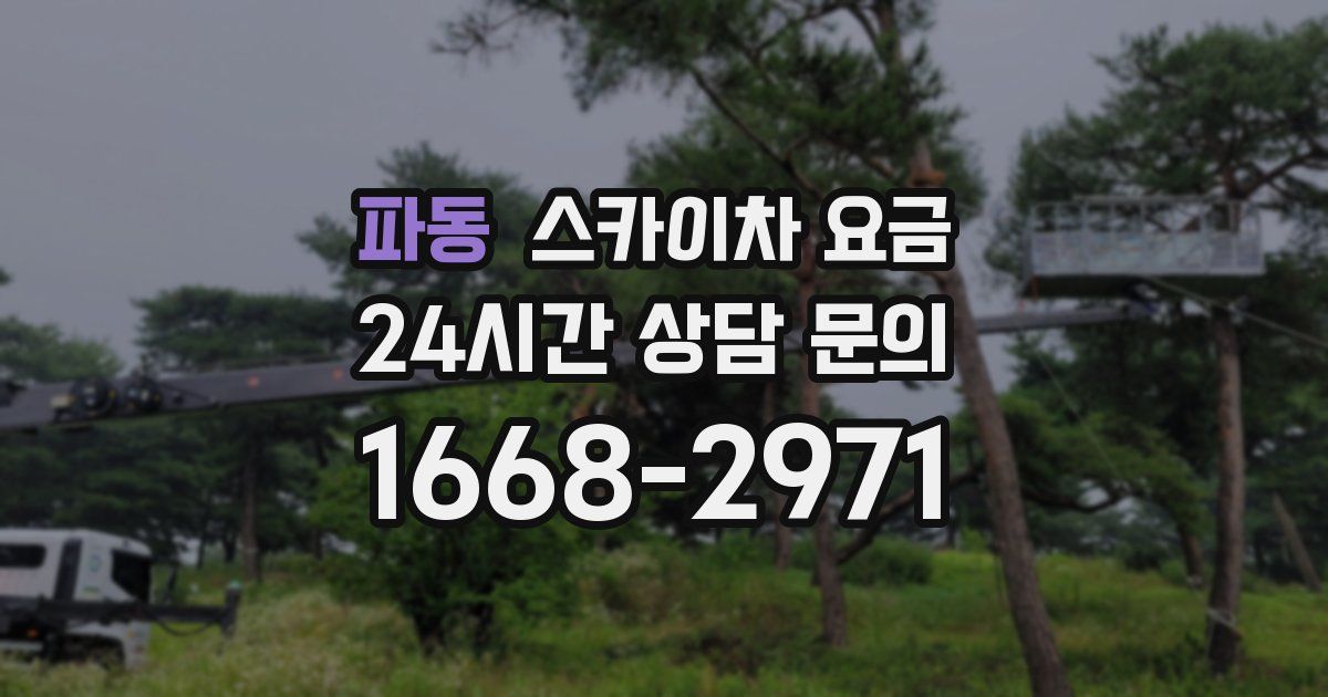 파동 스카이차 요금