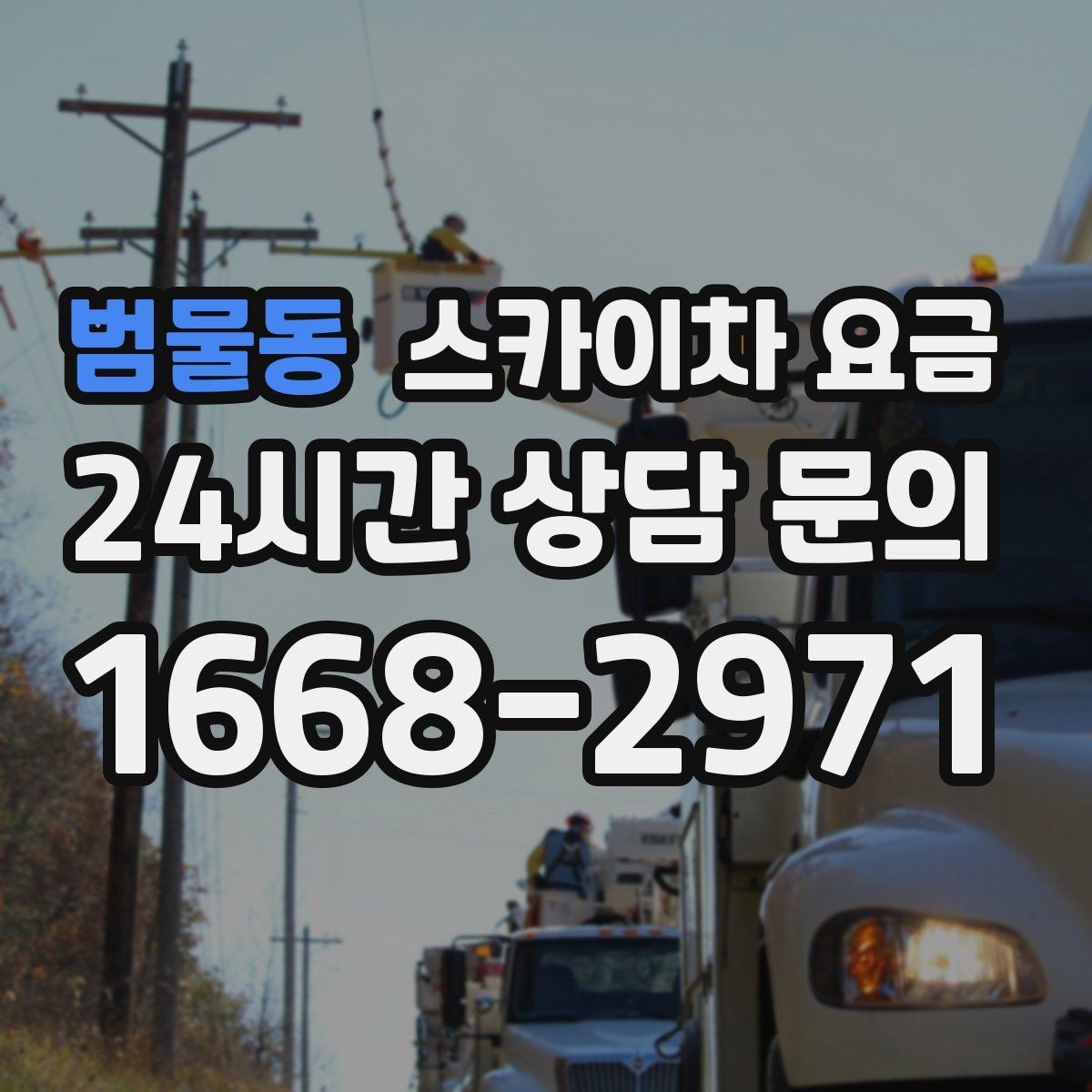 범물동 스카이차 요금 나무 전지 작업은 가지 위치가 변수가 됩니다