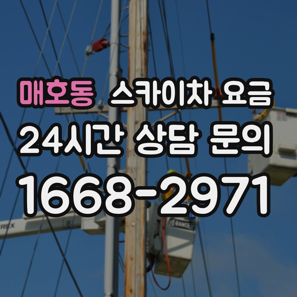 매호동 스카이차 요금