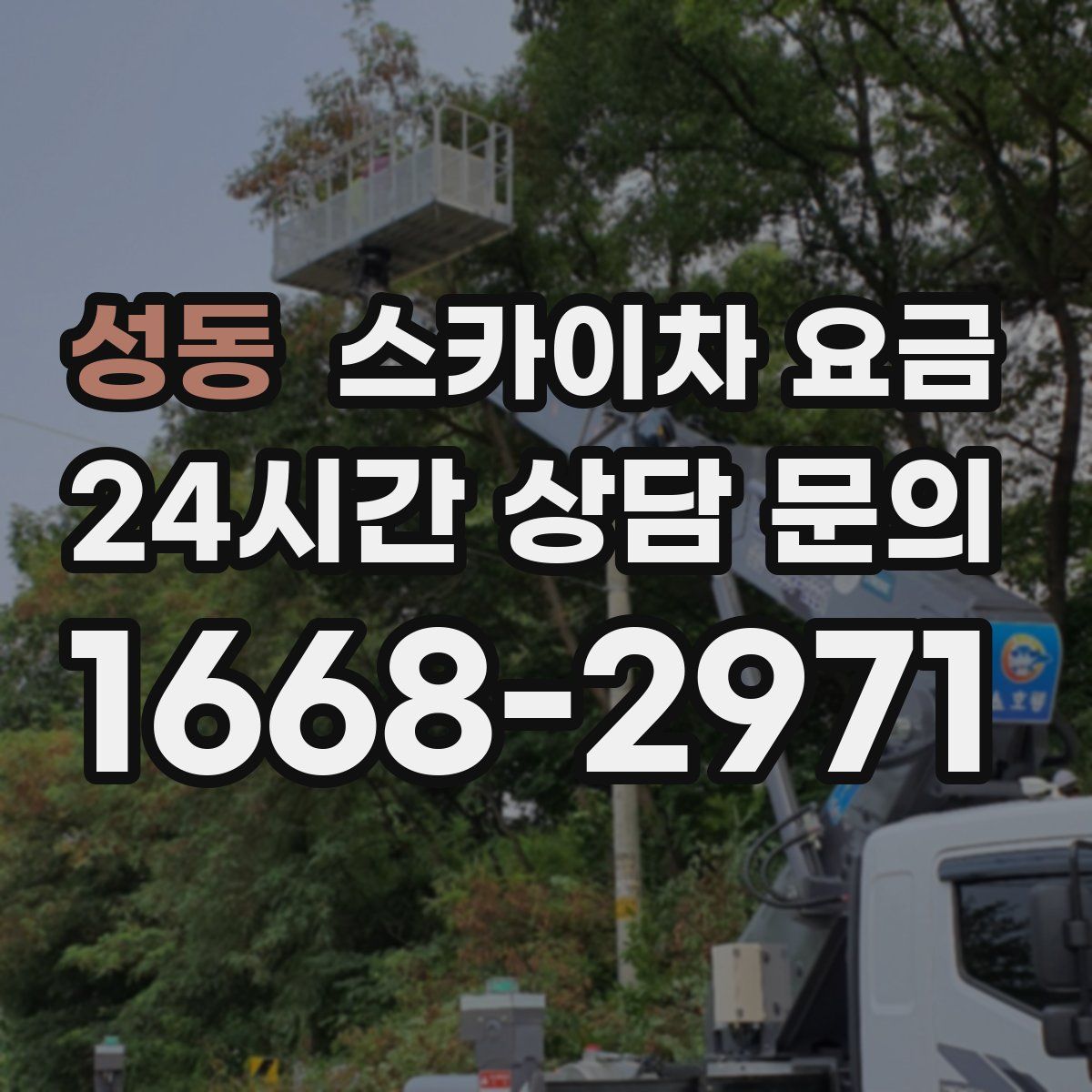 성동 스카이차 요금