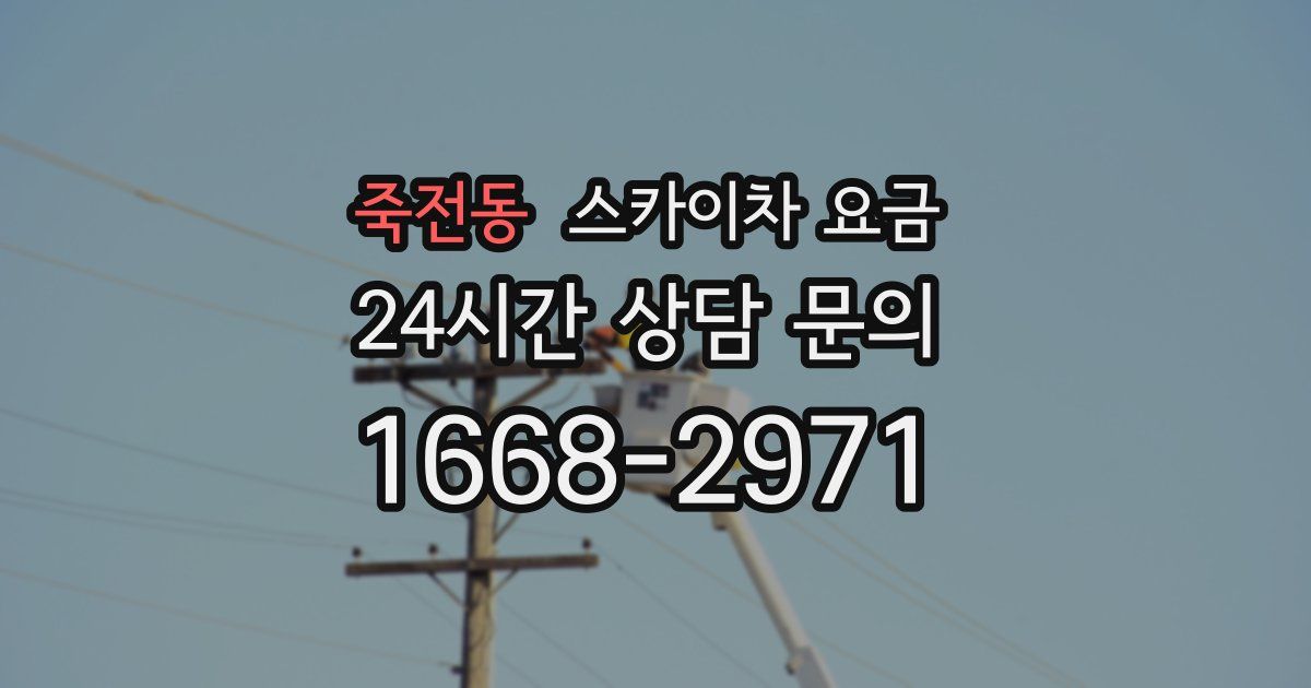 죽전동 스카이차 요금