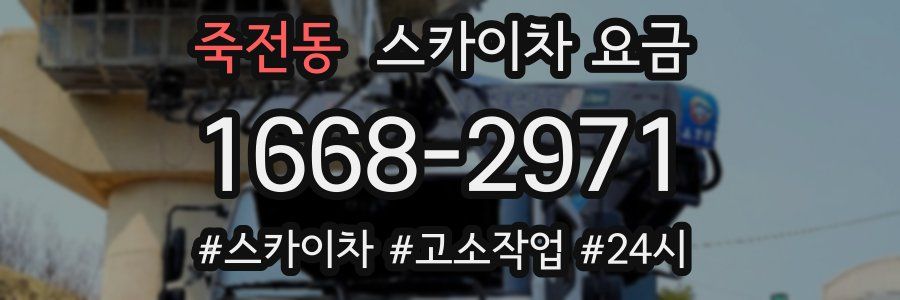 죽전동 스카이차 요금