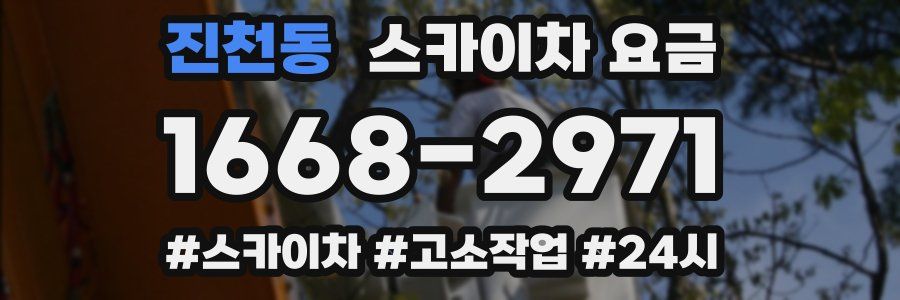 진천동 스카이차 요금