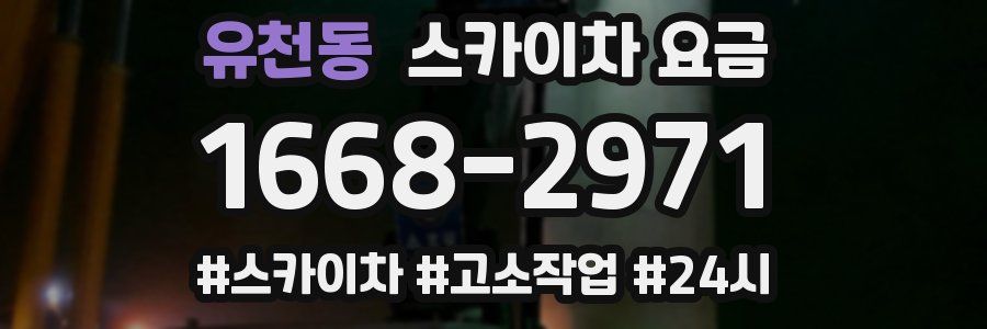 유천동 스카이차 요금