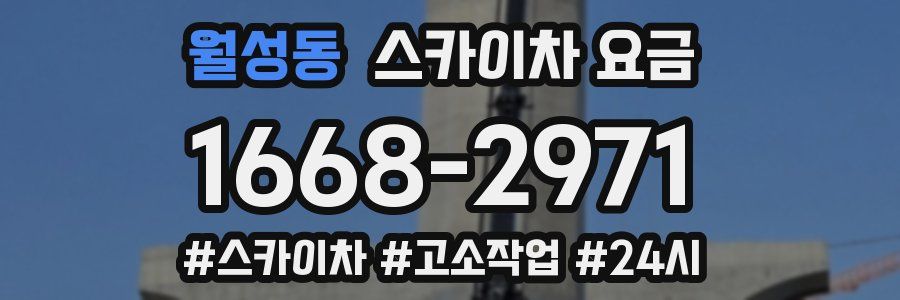 월성동 스카이차 요금