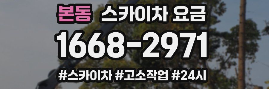 본동 스카이차 요금