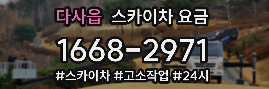 다사읍 스카이차 요금
