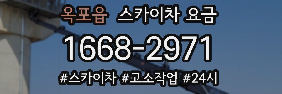 옥포읍 스카이차 요금