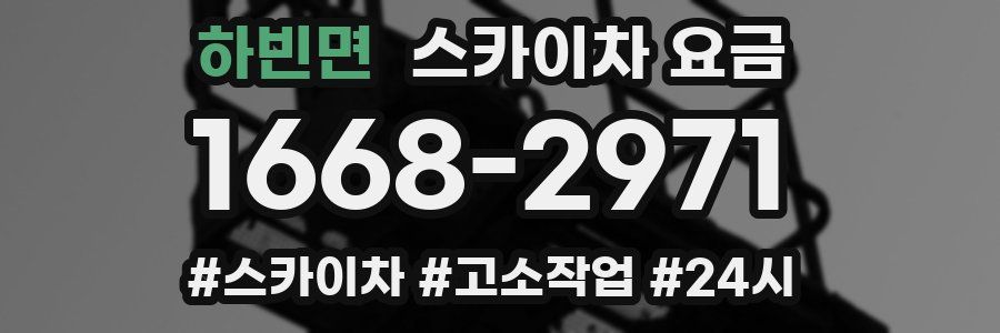 하빈면 스카이차 요금