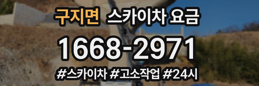 구지면 스카이차 요금