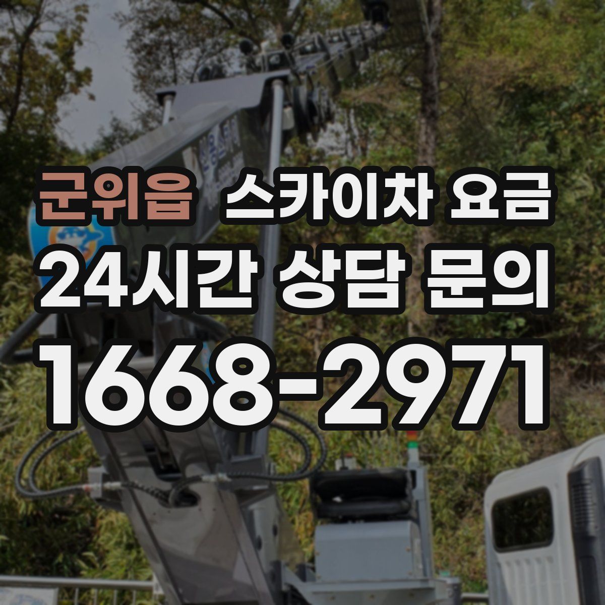 군위읍 스카이차 요금