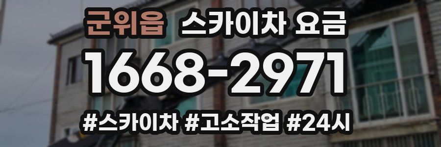 군위읍 스카이차 요금