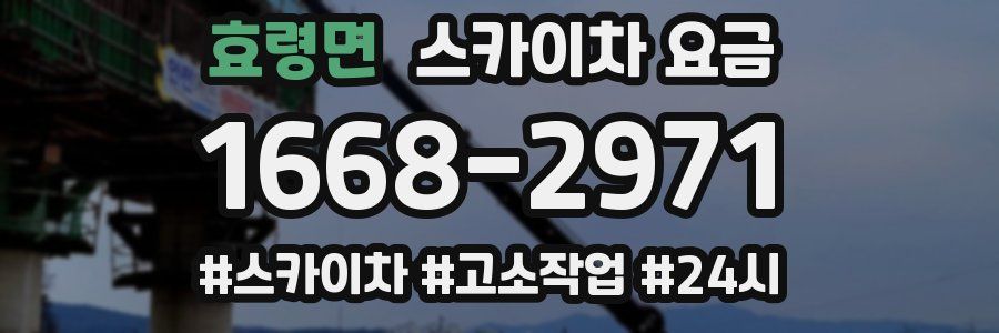 효령면 스카이차 요금