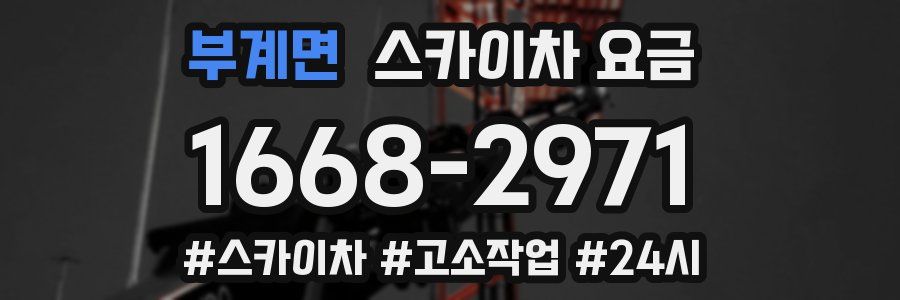 부계면 스카이차 요금