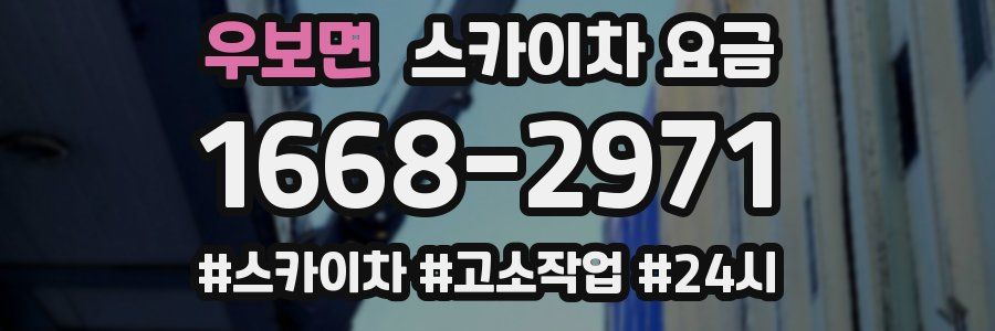 우보면 스카이차 요금