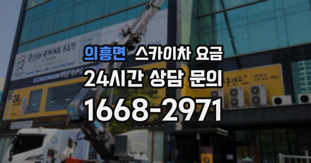 의흥면 스카이차 요금