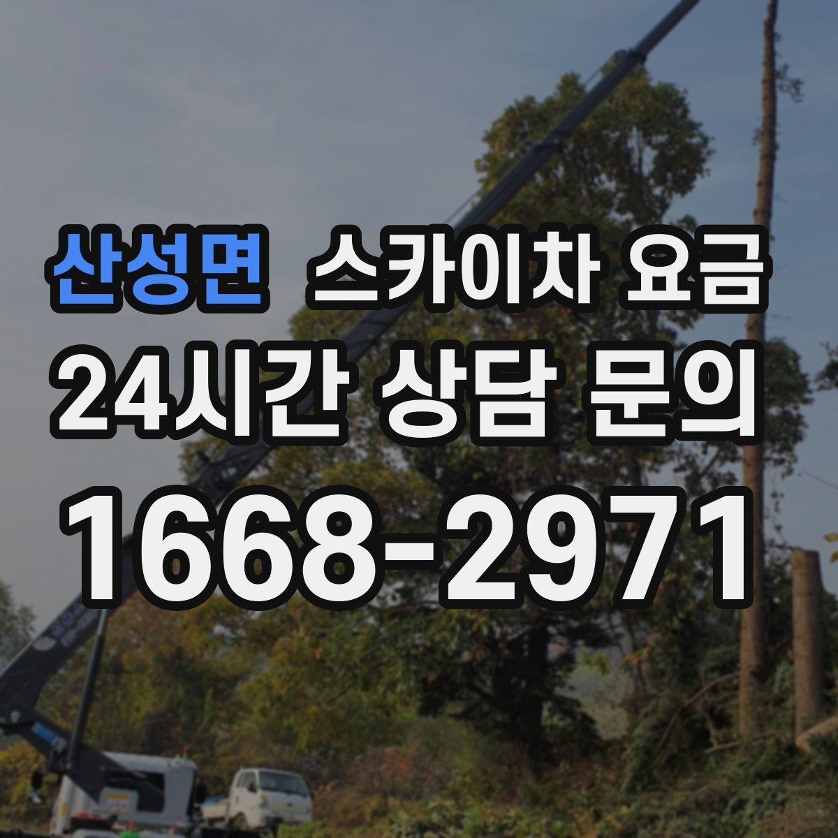 산성면 스카이차 요금